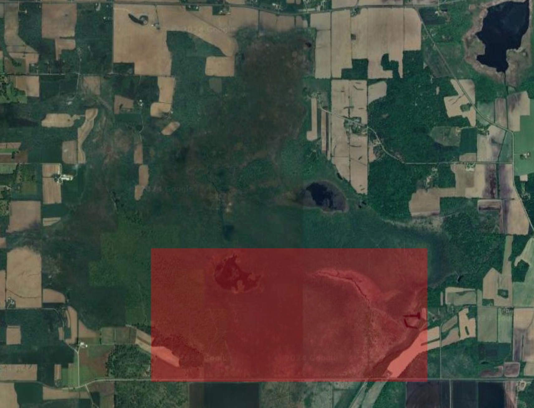 Arial satellite view of forested area with red box indicating study site
